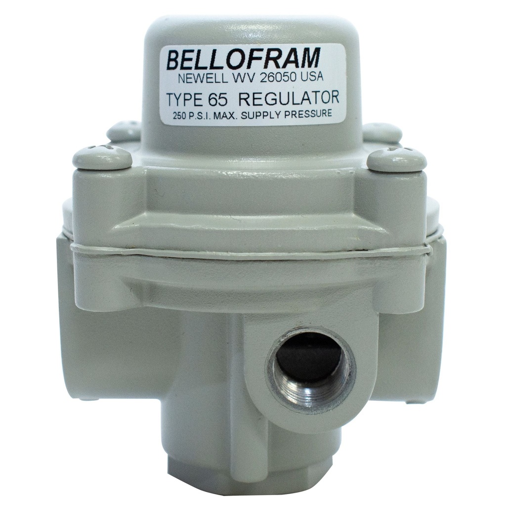Bellofram T65 Regulator Factory Preset, 1/4" NPT, 0-20 psi w/Mounting Bracket 