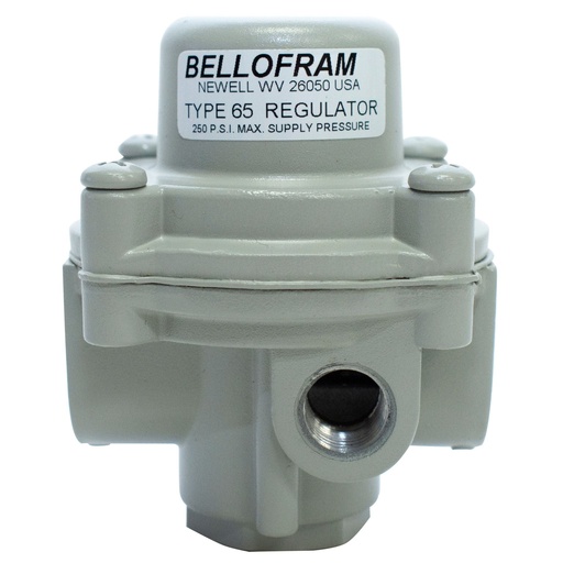 [960-071-000-5PSI] Bellofram T65 Regulator Factory Preset, 1/4" NPT, 0-20 psi (Preset at 5 psi)